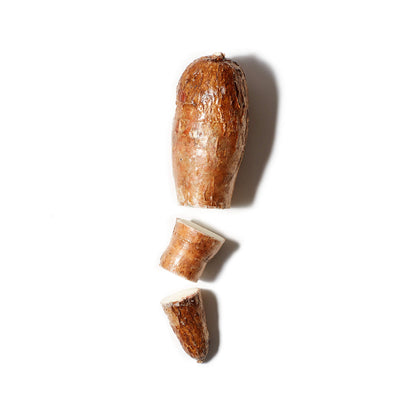 Cassava Root Flour