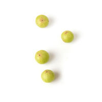 Tamanu Oil