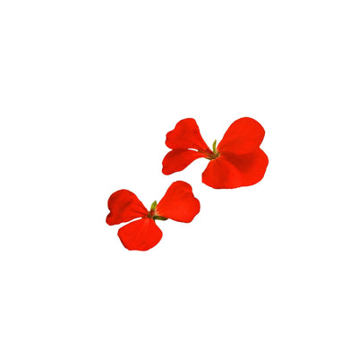 Geranium Essential Oil