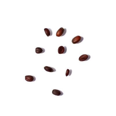 Jojoba Seed Oil