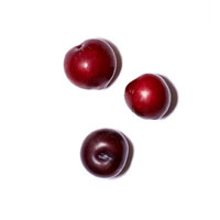 Plum Kernel Oil